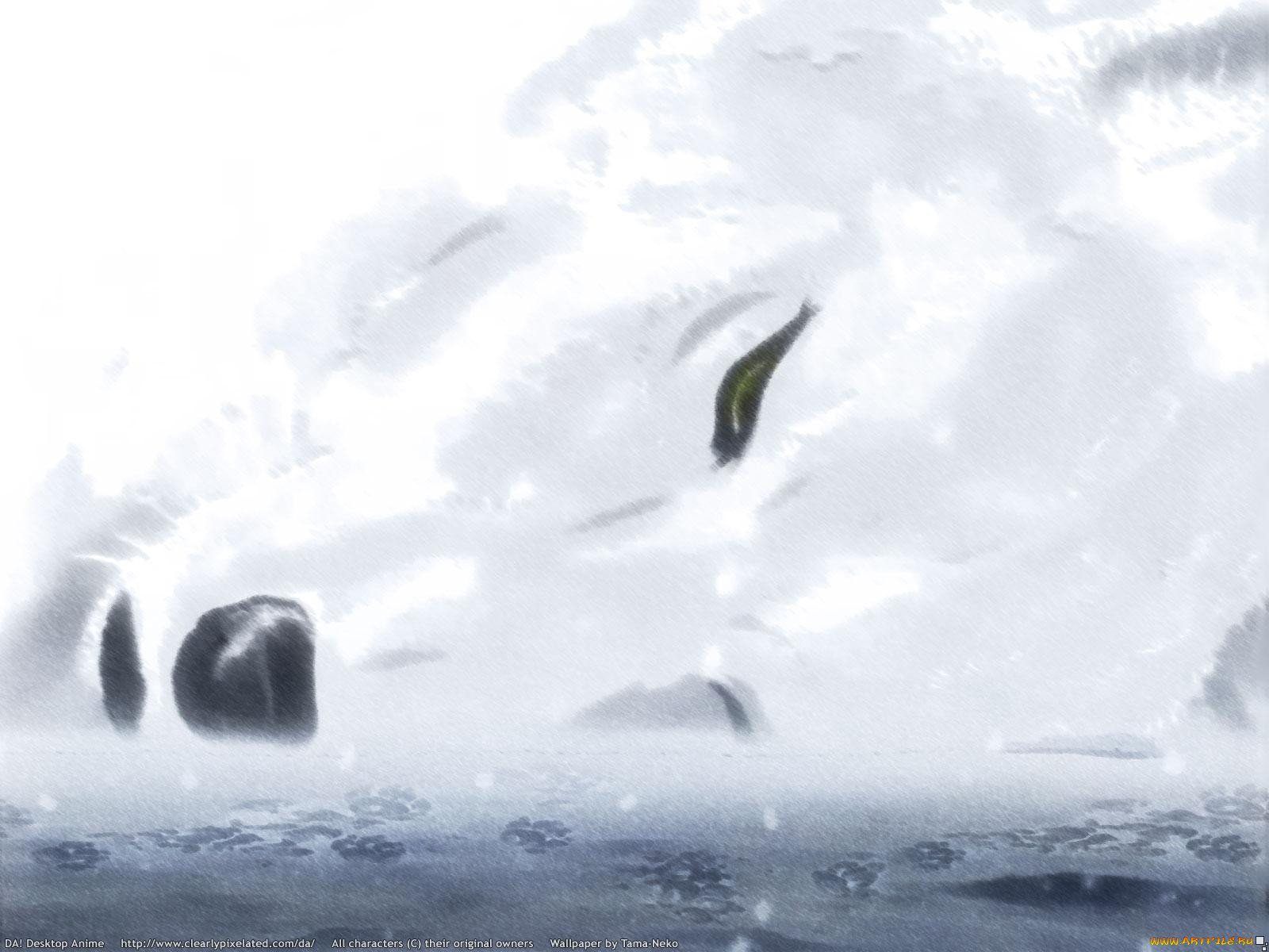 , wolf`s, rain
